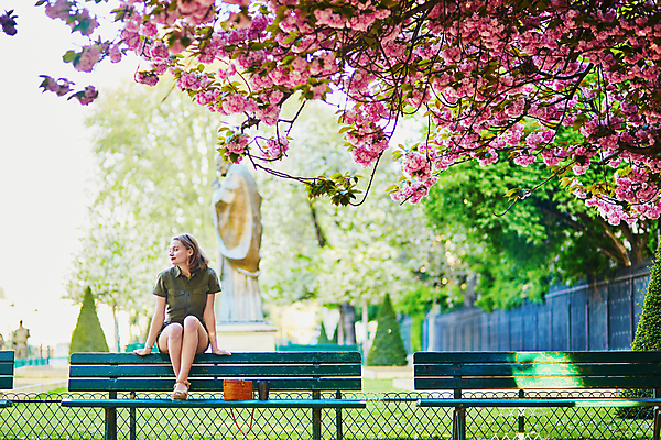 포토 JPG 해외이미지 주간 전신 외국인 나무 백인 공원 여자 벤치 가방 한명 앉기 성인 야외 앞모습 봄 벚꽃 성인여자한명만 파리(프랑스) 해외포토 자연요소 서양인 식물 1 잡화 계절 공공시설 꽃 뷰포인트 의자 모션 사람 인종 여자한명만 성인여자만 파일형식