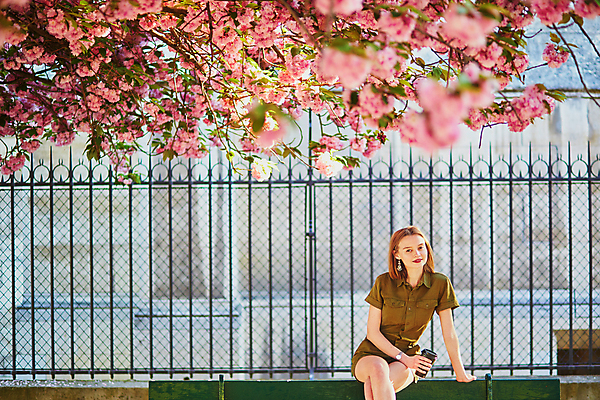 포토 JPG 해외이미지 주간 외국인 나무 백인 공원 여자 벤치 한명 들기 앉기 상반신 성인 야외 앞모습 봄 벚꽃 다리꼬기 테이크아웃컵 성인여자한명만 파리(프랑스) 해외포토 자연요소 서양인 식물 1 계절 공공시설 꽃 뷰포인트 의자 모션 사람 인종 컵 여자한명만 성인여자만 파일형식