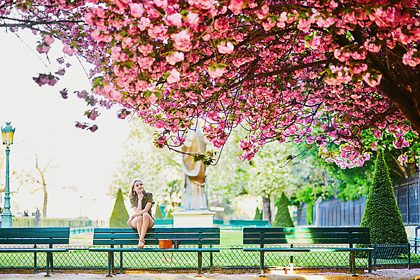 포토 JPG 해외이미지 주간 전신 외국인 나무 백인 공원 여자 벤치 가방 한명 앉기 성인 야외 앞모습 턱괴기 봄 벚꽃 성인여자한명만 파리(프랑스) 해외포토 자연요소 서양인 식물 1 잡화 계절 공공시설 꽃 뷰포인트 의자 모션 사람 인종 여자한명만 성인여자만 파일형식