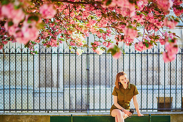 포토 JPG 해외이미지 주간 외국인 나무 백인 공원 여자 벤치 가방 한명 들기 앉기 상반신 성인 야외 앞모습 봄 벚꽃 다리꼬기 테이크아웃컵 성인여자한명만 파리(프랑스) 해외포토 자연요소 서양인 식물 1 잡화 계절 공공시설 꽃 뷰포인트 의자 모션 사람 인종 컵 여자한명만 성인여자만 파일형식