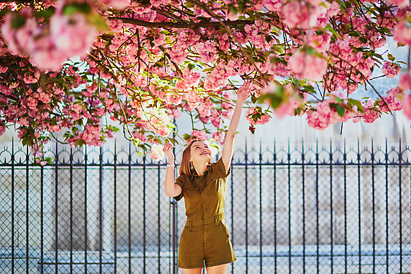 포토 JPG 해외이미지 주간 외국인 나무 백인 공원 여자 한명 상반신 성인 야외 앞모습 봄 벚꽃 손뻗기 성인여자한명만 파리(프랑스) 해외포토 자연요소 서양인 식물 1 계절 공공시설 꽃 뷰포인트 모션 사람 인종 여자한명만 성인여자만 파일형식