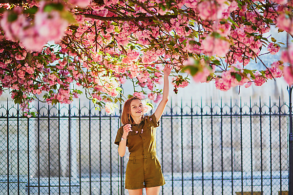 포토 JPG 해외이미지 주간 외국인 나무 백인 공원 여자 가방 한명 상반신 성인 야외 앞모습 봄 벚꽃 손뻗기 성인여자한명만 파리(프랑스) 해외포토 자연요소 서양인 식물 1 잡화 계절 공공시설 꽃 뷰포인트 모션 사람 인종 여자한명만 성인여자만 파일형식