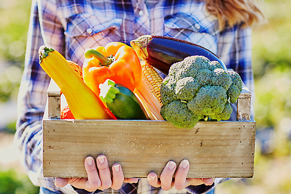 포토 JPG 해외이미지 주간 백인 채소 가지 한명 들기 상반신 성인 야외 아웃포커스 농부 브로콜리 나무상자 과수원 주키니호박 성인여자한명만 해외포토 자연요소 서양인 직업 1 농업 모션 촬영기법 사람 상자 여자한명만 성인여자만 파일형식