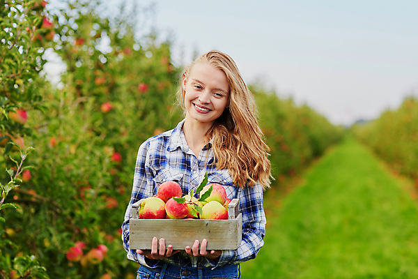 포토 JPG 해외이미지 주간 백인 한명 들기 상반신 성인 야외 앞모습 아웃포커스 사과 농부 나무상자 과수원 사과농장 성인여자한명만 해외포토 자연요소 서양인 직업 1 뷰포인트 농업 과일 모션 촬영기법 사람 상자 농장 여자한명만 성인여자만 파일형식