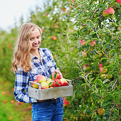 포토 JPG 해외이미지 주간 백인 한명 들기 상반신 성인 야외 앞모습 아웃포커스 사과 농부 나무상자 과수원 사과농장 성인여자한명만 해외포토 자연요소 서양인 직업 1 뷰포인트 농업 과일 모션 촬영기법 사람 상자 농장 여자한명만 성인여자만 파일형식