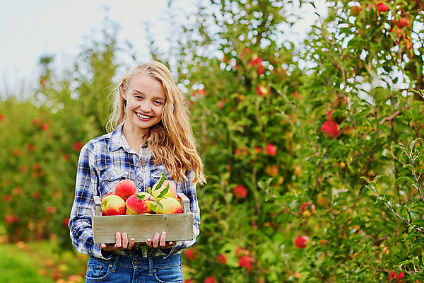 포토 JPG 해외이미지 주간 백인 한명 들기 상반신 성인 야외 앞모습 아웃포커스 사과 농부 나무상자 과수원 사과농장 성인여자한명만 해외포토 자연요소 서양인 직업 1 뷰포인트 농업 과일 모션 촬영기법 사람 상자 농장 여자한명만 성인여자만 파일형식