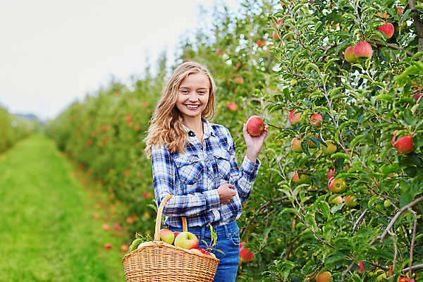 포토 JPG 해외이미지 주간 백인 한명 들기 상반신 성인 야외 앞모습 아웃포커스 수확 사과 농부 과수원 사과농장 사과바구니 성인여자한명만 해외포토 자연요소 서양인 직업 1 뷰포인트 농업 과일 모션 촬영기법 사람 농장 바구니 여자한명만 성인여자만 파일형식