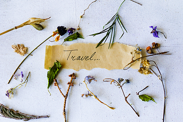 포토 JPG 해외이미지 종이 건조 사람없음 하이앵글 흰배경 찻잎 허브차 해외포토 뷰포인트 백그라운드 차_음료 흰색 파일형식