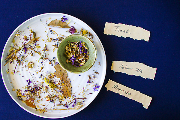 포토 JPG 해외이미지 그릇 종이 텍스트 건조 쟁반 사람없음 하이앵글 낭만 기하학 찻잎 허브차 남색배경 해외포토 식기 뷰포인트 백그라운드 컨셉 무늬 차_음료 남색 파일형식