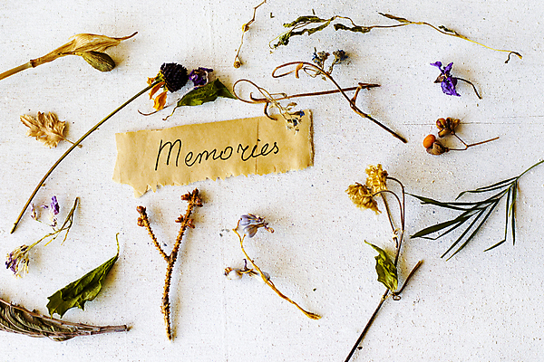 포토 JPG 해외이미지 종이 건조 사람없음 하이앵글 흰배경 찻잎 허브차 해외포토 뷰포인트 백그라운드 차_음료 흰색 파일형식