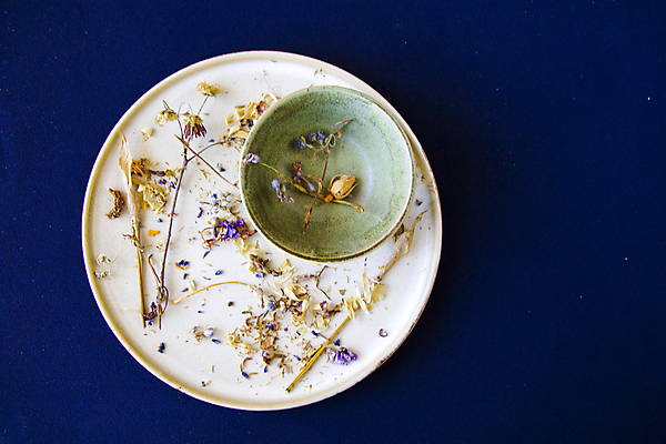 포토 JPG 해외이미지 그릇 접시 꽃잎 건조 쟁반 사람없음 하이앵글 찻잎 허브차 남색배경 해외포토 식기 꽃 뷰포인트 백그라운드 차_음료 남색 파일형식