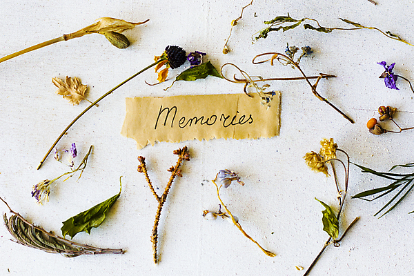 포토 JPG 해외이미지 종이 건조 사람없음 하이앵글 흰배경 찻잎 허브차 해외포토 뷰포인트 백그라운드 차_음료 흰색 파일형식