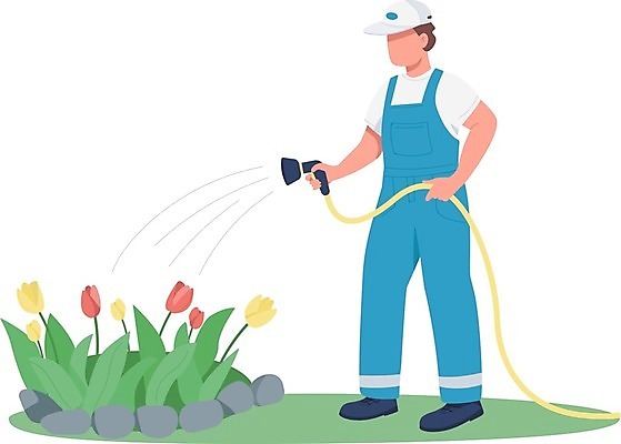 EPS 해외이미지 전신 식물 남자 일러스트 한명 서기 들기 성인 취미 튤립 물주기 화단 호스 정원가꾸기 싱글라이프 성인남자한명만 해외일러스트 1 라이프스타일 꽃 모션 사람 원예 남자한명만 성인남자만 파일형식 벡터