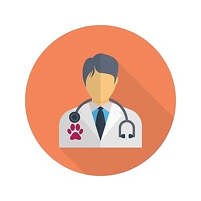 EPS 해외이미지 남자 일러스트 청진기 한명 상반신 성인 수의사 성인남자한명만 해외일러스트 1 의료기기 사람 의사 남자한명만 성인남자만 파일형식 벡터