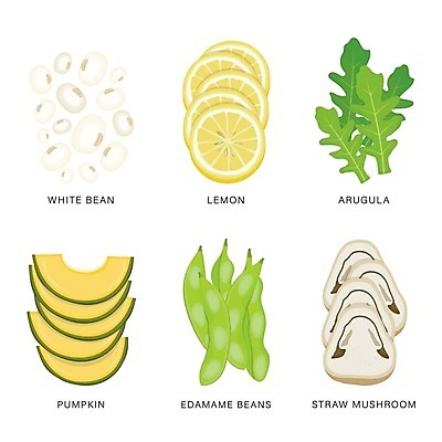 EPS 해외이미지 일러스트 식재료 호박 콩 사람없음 버섯 레몬 슬라이스 루꼴라 풋콩 해외일러스트 채소 과일 곡류 파일형식 벡터