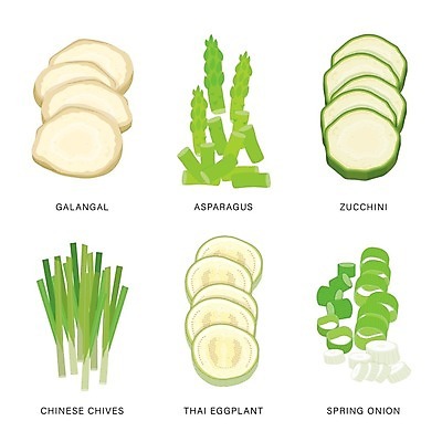 EPS 해외이미지 일러스트 식재료 가지 단면 사람없음 향신료 아스파라거스 슬라이스 대파 쪽파 주키니 해외일러스트 채소 파 향미료 파일형식 벡터
