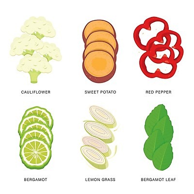 EPS 해외이미지 잎 오렌지 일러스트 식재료 사람없음 고구마 레몬그라스 컬리플라워 해외일러스트 식물 과일 뿌리채소 브로콜리 파일형식 벡터
