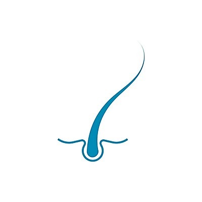 EPS 해외이미지 일러스트 사람없음 머리카락 두피 두피관리 두피케어 트리트먼트 모낭 해외일러스트 머리 미용용품 헤어관리 파일형식 벡터