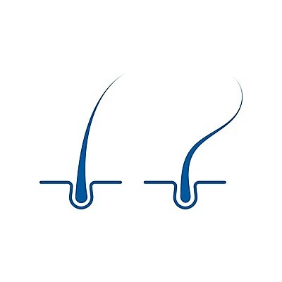 EPS 해외이미지 일러스트 사람없음 머리카락 두피 두피관리 두피케어 트리트먼트 모낭 해외일러스트 머리 미용용품 헤어관리 파일형식 벡터