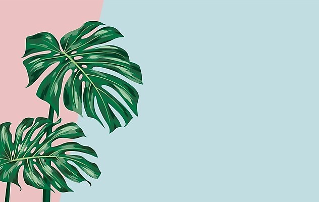 EPS 해외이미지 일러스트 프레임 사람없음 몬스테라 보테니컬아트 해외일러스트 식물 파일형식 벡터