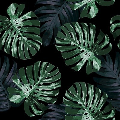 EPS 해외이미지 일러스트 사람없음 몬스테라 보테니컬아트 해외일러스트 식물 파일형식 벡터