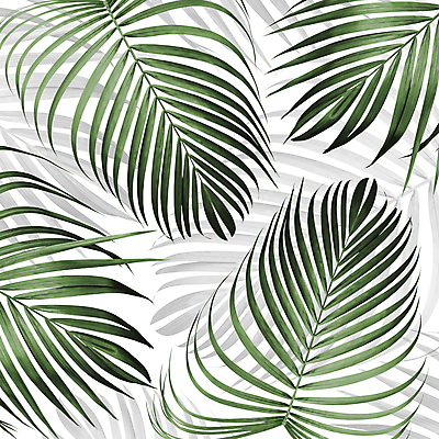 포토 JPG 해외이미지 사람없음 열대잎 보테니컬아트 해외포토 잎 파일형식