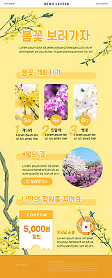 PSD 템플릿 ZIP 웹템플릿 봄꽃 사람없음 노란색 봄 벚꽃 개화 개나리 진달래 뉴스레터 할인쿠폰 이미지템플릿 계절 꽃 컬러 쿠폰 파일형식