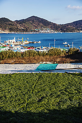 포토 JPG 주간 바다 산 풍경 사람없음 야외 항구 전라남도 특산물 거문도 쑥 제철 제철음식 국내포토 자연요소 음식 섬 채소 교통시설 전라도 여수 파일형식