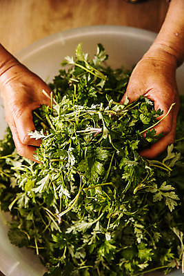 포토 JPG 주간 손 식재료 실내 들기 신체부위 바구니 전라남도 특산물 거문도 봄나물 쑥 제철 제철음식 산나물 국내포토 자연요소 음식 섬 채소 모션 사람 내부 전라도 나물 여수 파일형식