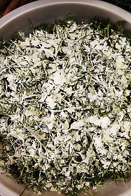 포토 JPG 주간 식재료 실내 사람없음 하이앵글 바구니 전라남도 담기 특산물 거문도 봄나물 쑥 제철 제철음식 산나물 국내포토 자연요소 음식 뷰포인트 섬 채소 모션 내부 전라도 나물 여수 파일형식