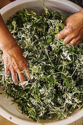 포토 JPG 주간 손 식재료 실내 신체부위 하이앵글 바구니 잡기 전라남도 특산물 거문도 봄나물 쑥 제철 제철음식 산나물 국내포토 자연요소 음식 뷰포인트 섬 채소 모션 사람 내부 전라도 나물 여수 파일형식