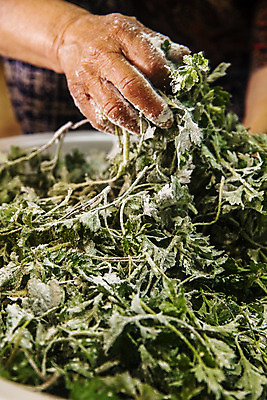 포토 JPG 주간 손 식재료 실내 들기 신체부위 전라남도 특산물 거문도 봄나물 쑥 제철 제철음식 산나물 국내포토 자연요소 음식 섬 채소 모션 사람 내부 전라도 나물 여수 파일형식