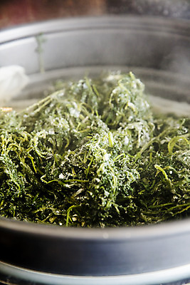 포토 JPG 주간 식재료 실내 사람없음 연기 전라남도 특산물 찜기 거문도 봄나물 쑥 제철 제철음식 산나물 국내포토 자연요소 음식 섬 채소 주방용품 내부 전라도 나물 여수 파일형식