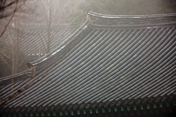 포토 JPG 주간 한옥 사람없음 야외 봄 전라북도 기와지붕 담양 국내포토 자연요소 한국전통 계절 고건축 지붕 기와 전라도 전라남도 파일형식