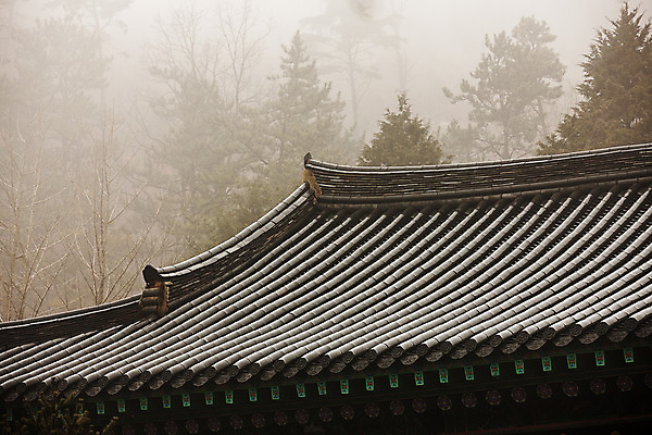 포토 JPG 주간 한옥 사람없음 야외 봄 전라북도 기와지붕 담양 국내포토 자연요소 한국전통 계절 고건축 지붕 기와 전라도 전라남도 파일형식