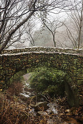 포토 JPG 주간 사람없음 야외 봄 전라북도 담양 가교 국내포토 자연요소 건축물 계절 전라도 전라남도 파일형식