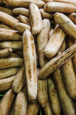 포토 JPG 주간 채소 실내 근접촬영 사람없음 가득함 특산물 연근 대구광역시 반야월 국내포토 자연요소 뷰포인트 내부 대구_한국 파일형식