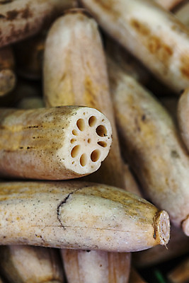 포토 JPG 주간 채소 실내 근접촬영 사람없음 특산물 연근 대구광역시 반야월 국내포토 자연요소 뷰포인트 내부 대구_한국 파일형식