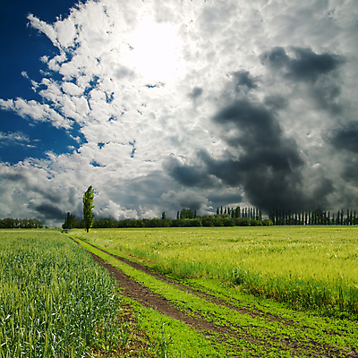 포토 JPG 해외이미지 구름 길 하늘 풍경 사람없음 야외 햇빛 평야 해외202004 해외202105 해외포토 자연요소 자연 태양 파일형식