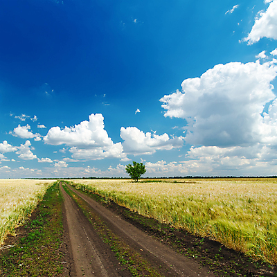 포토 JPG 해외이미지 구름 하늘 풍경 사람없음 야외 해외202004 해외202105 해외포토 자연요소 파일형식