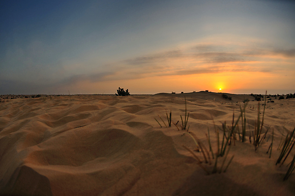 포토 JPG 해외이미지 구름 모래 아프리카 풍경 사람없음 야외 태양 일출 일몰 사막 모래언덕 사하라 해외202004 해외202105 해외포토 자연요소 나라 노을 언덕 파일형식
