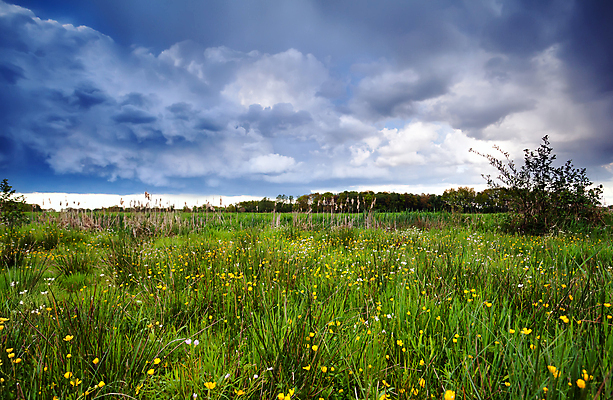 포토 JPG 해외이미지 구름 하늘 날씨 풍경 사람없음 야외 네덜란드 해외202004 해외202105 해외포토 자연요소 유럽 파일형식