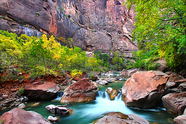 포토 JPG 해외이미지 나무 식물 풍경 사람없음 골짜기 미국 개울 해외202004 해외202105 해외포토 북아메리카 자연 강 파일형식