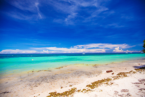 포토 JPG 해외이미지 나무 구름 모래 파도 바다 하늘 풍경 사람없음 야외 맑음 전원 해외202004 해외포토 자연요소 식물 날씨 전기에너지 파일형식