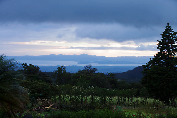 포토 JPG 해외이미지 나무 하늘 산 사람없음 야외 숲 언덕 해외202004 해외202105 해외포토 식물 파일형식