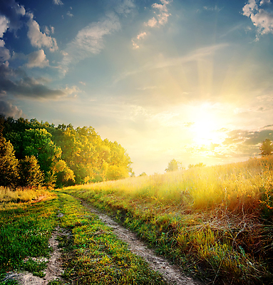 포토 JPG 해외이미지 나무 구름 공원 도로 잎 밭 하늘 풍경 사람없음 야외 태양 일출 전원 숲 소멸 해외202004 해외포토 자연요소 식물 공공시설 길 농업 교통시설 노을 전기에너지 파일형식