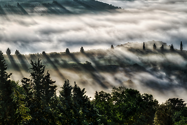 포토 JPG 해외이미지 나무 구름 하늘 풍경 야외 이탈리아 토스카나 해외202004 해외202105 해외포토 자연요소 식물 유럽 파일형식