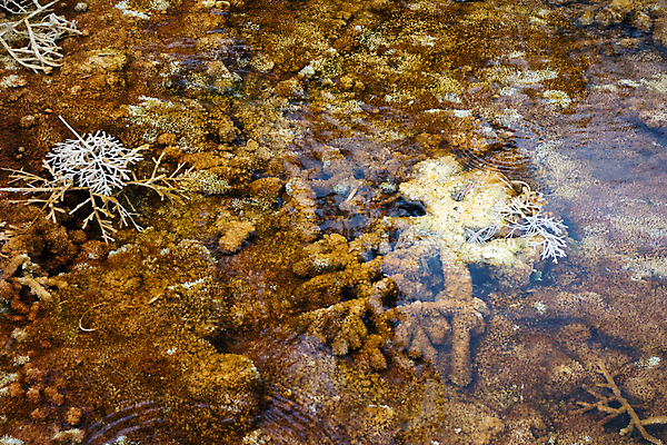 포토 JPG 해외이미지 풍경 사람없음 야외 해외202004 해외202105 해외포토 파일형식
