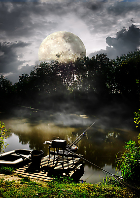 포토 JPG 해외이미지 나무 구름 호수 하늘 풍경 사람없음 야외 강 인공위성 안개 달 연못 야간 해외202004 해외202105 해외포토 자연요소 식물 통신 날씨 파일형식