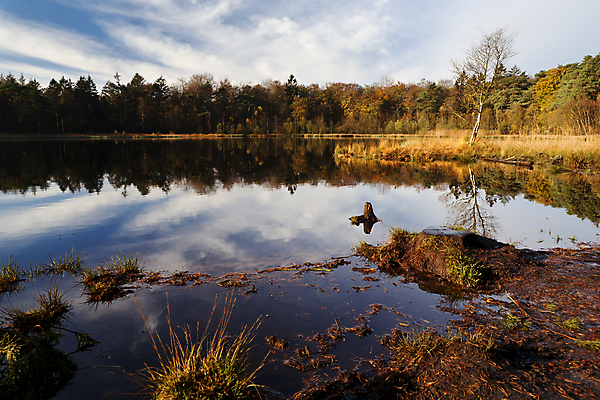 포토 JPG 해외이미지 나무 식물 구름 호수 하늘 풍경 사람없음 야외 햇빛 연못 네덜란드 해외202004 해외202105 해외포토 자연요소 유럽 태양 파일형식